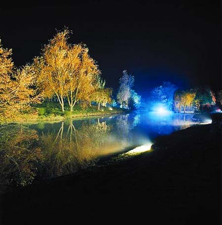 Trees and lakeside lit up in colour at night